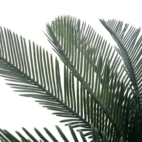 Vidaxl - Plante artificielle avec pot Palmier Cycas Vert 125 cm - Image 2