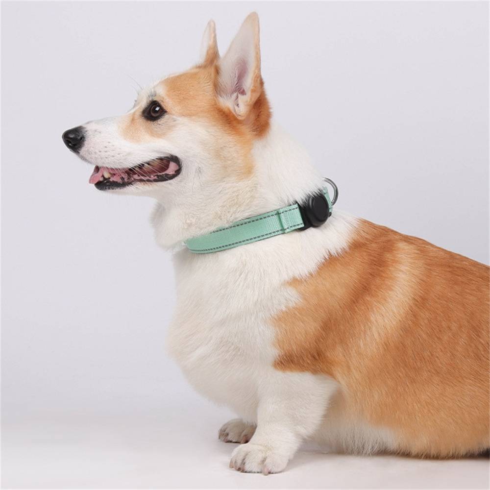 DtopbuyAge - Collier GPS pour chien DtopbuyAge - Image 6