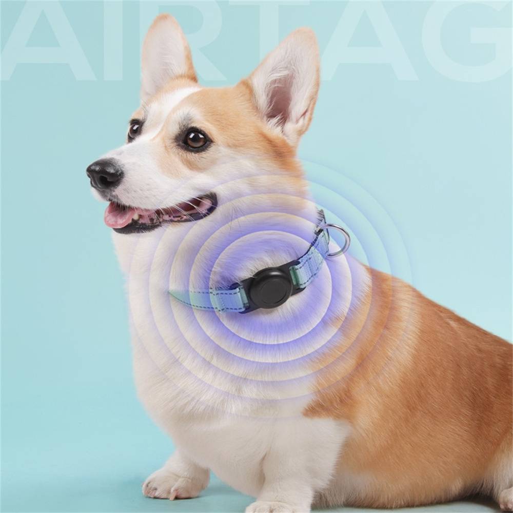 DtopbuyAge - Collier GPS pour chien DtopbuyAge - Image 2