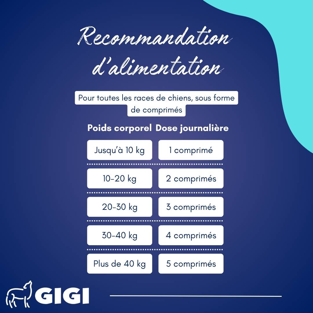Articulations Chiens – Mobilité & Soutien – MSM & Boswellia 220 comprimés GIGI VET - Image 4
