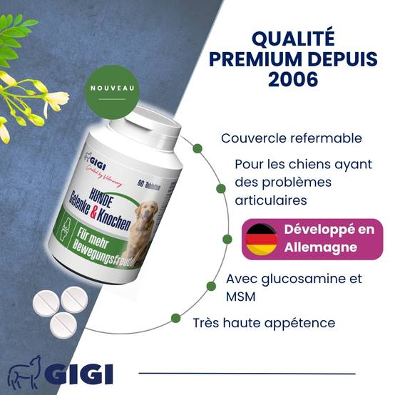 Articulations Chiens – Mobilité & Soutien – MSM & Boswellia 220 comprimés GIGI VET - Image 3