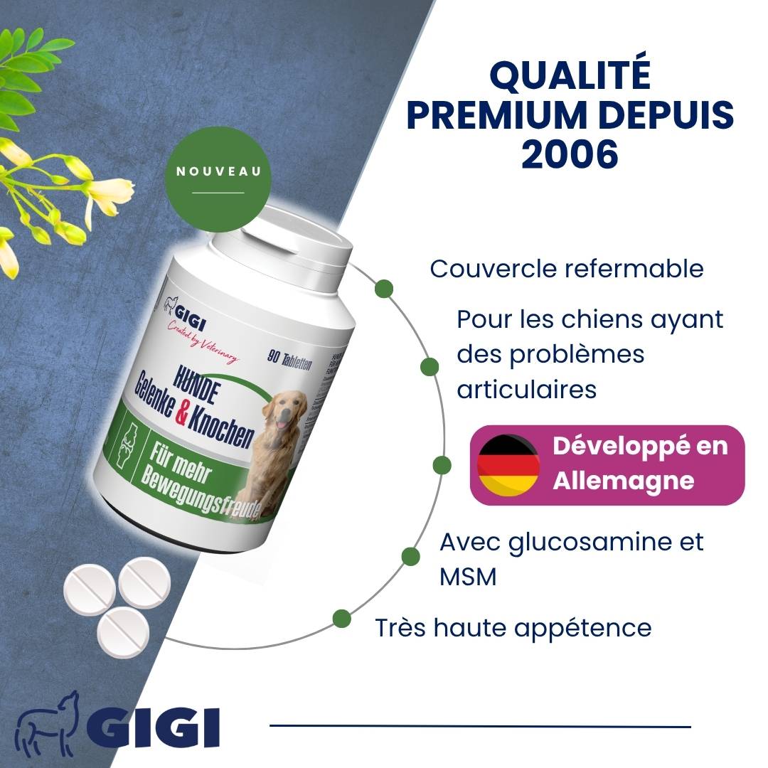 Articulations Chiens – Mobilité & Soutien – MSM & Boswellia 220 comprimés GIGI VET - Image 3