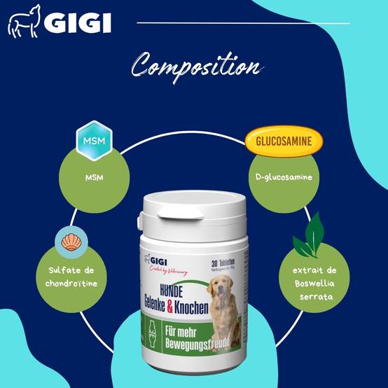 Articulations Chiens – Mobilité & Soutien – MSM & Boswellia 220 comprimés GIGI VET - Image 5