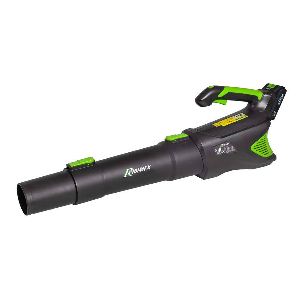 Ribimex - Souffleur de jardin à batterie R-BAT20 20v batterie 2amp et chargeur - Image 1