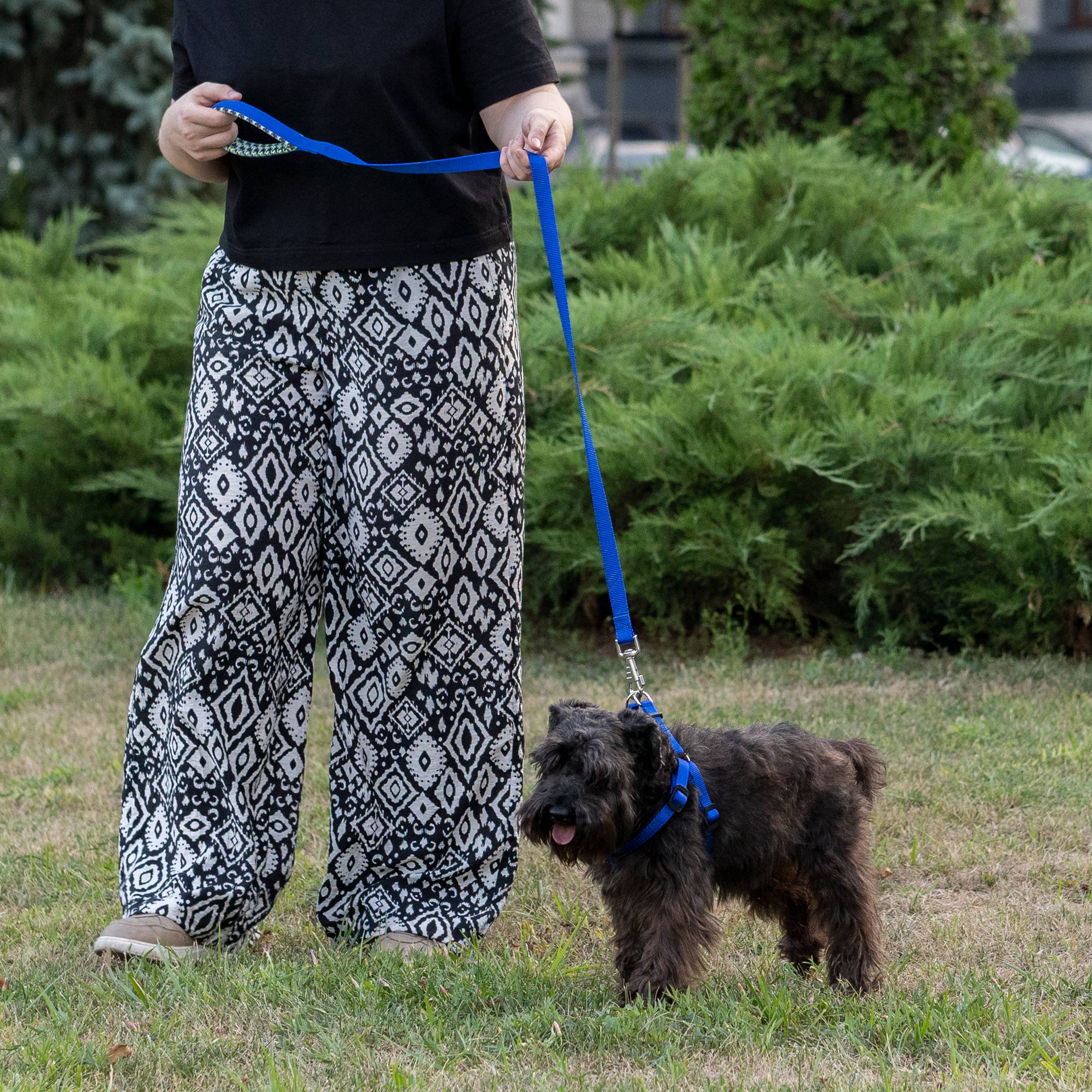 Ferplast - Ferplast laisse pour chien DAYTONA FANTASY, Laisse en nylon pour chien de taille moyenne, 120 cm, avec poignée rembourrée confortable et mousqueton en - Imagen 3