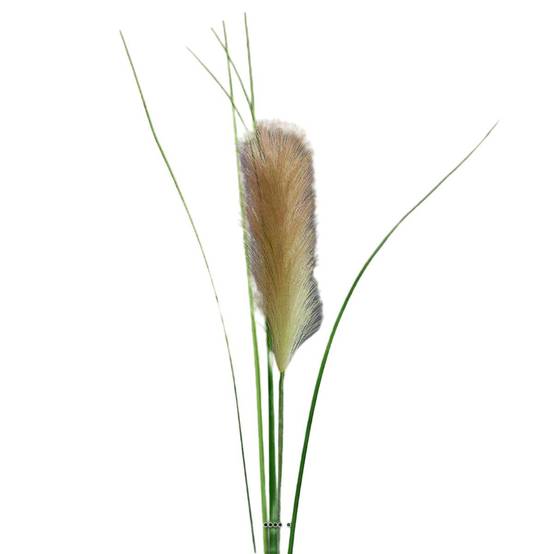 Herbe de la Pampa artificielle H 97 cm superbe plumeau Pêche - couleur: Pêche - Image 1