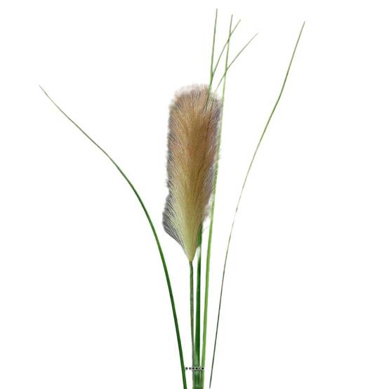 Herbe de la Pampa artificielle H 97 cm superbe plumeau Pêche - couleur: Pêche - Image 2