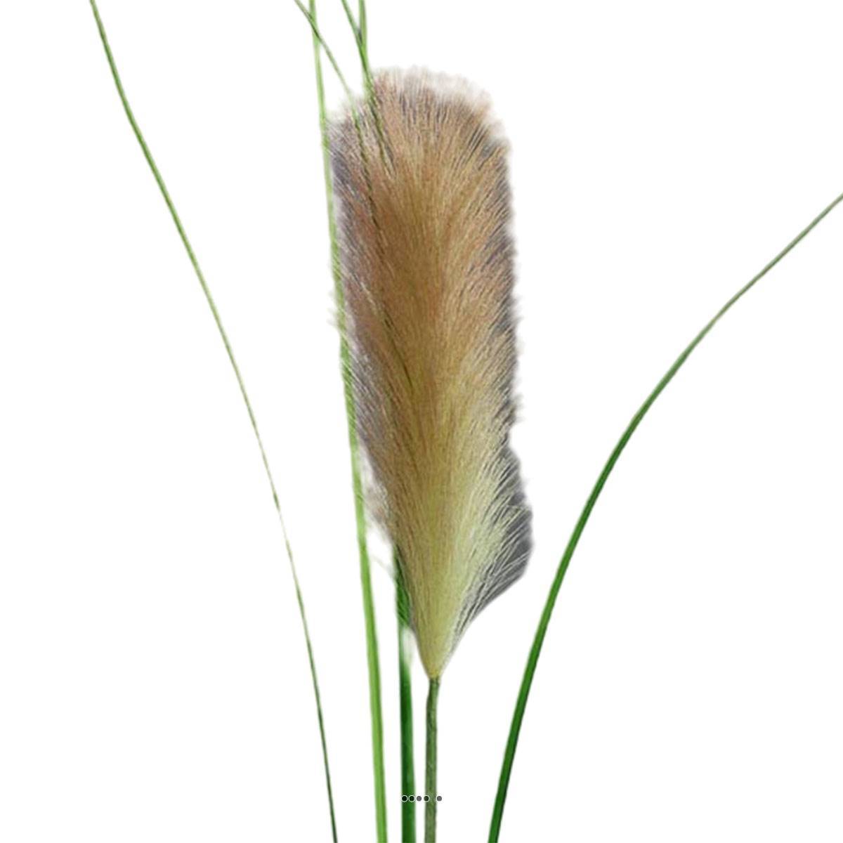 Herbe de la Pampa artificielle H 97 cm superbe plumeau Pêche - couleur: Pêche - Image 3