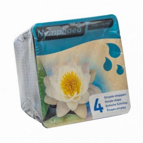 Kit Nénuphar - plante aquatique pour bassin - Blanc - Image 3