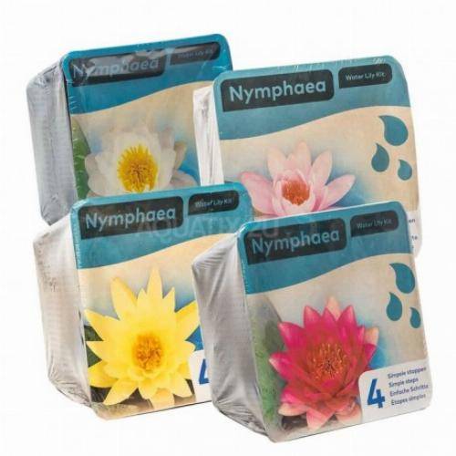 Kit Nénuphar - plante aquatique pour bassin - Blanc - Image 5