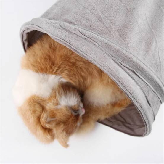 DtopbuyAge - Jouet tunnel pour chat DtopbuyAge - Image 2