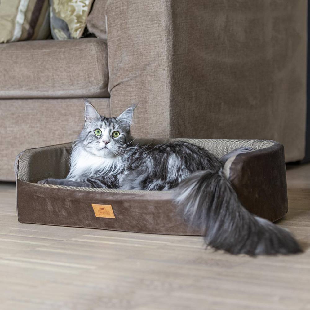 Ferplast - Couchage Rembourré Lit pour Chiens et Chats HARRIS 65 Lavable, avec Coussin, Tweed et Velours, Marron - Imagen 4