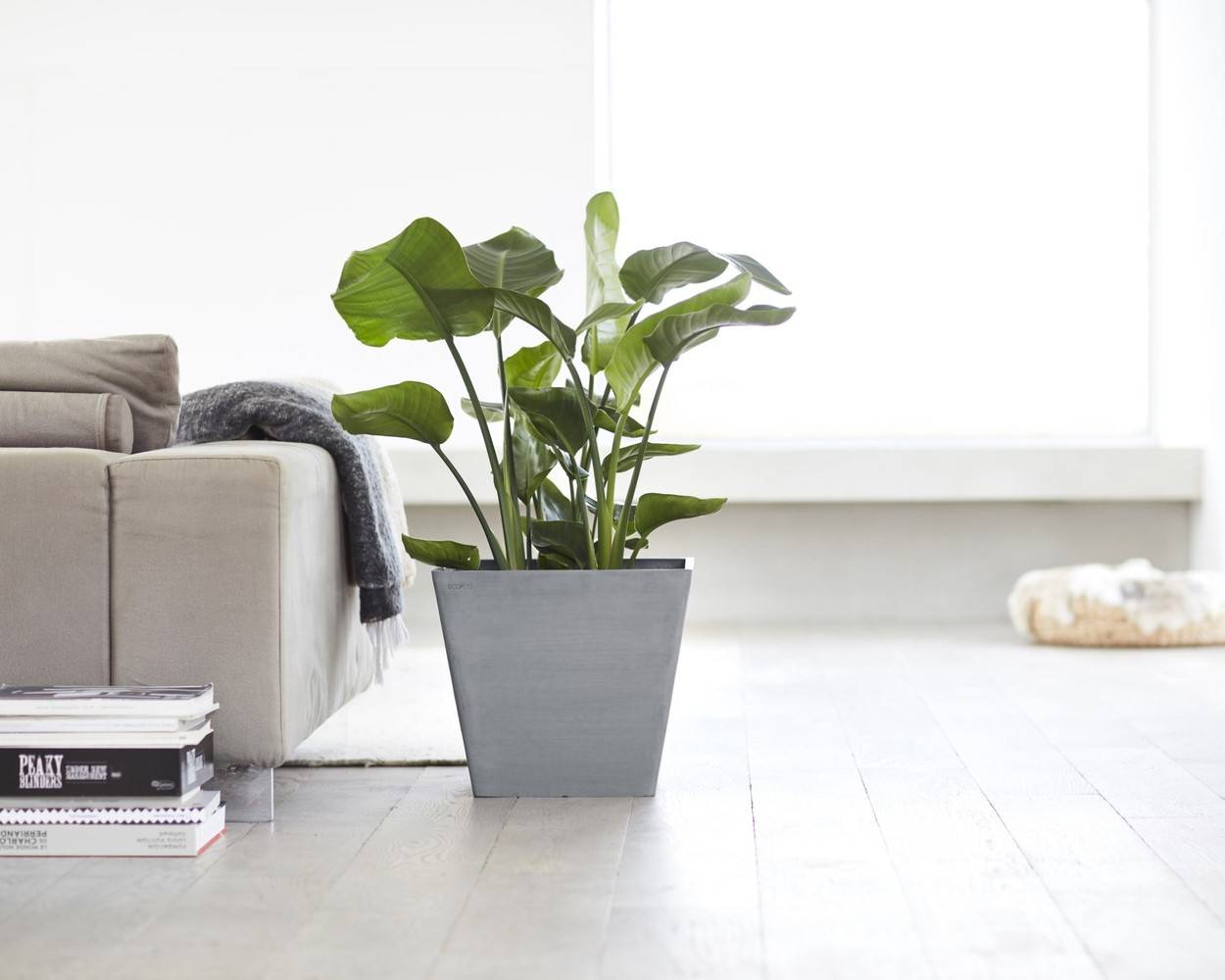 Ecopots - Pot Carré Rotterdam 40 Bleu Gris - 40 x 40 x H. 35 cm - 37,6 L ECOPOTS - Imagen 5