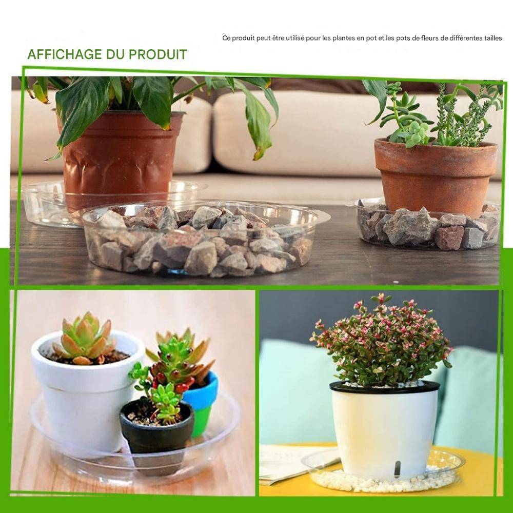 Lytech - Plateaux de Soutènement Transparents 20 cm - Lot de 10 - Antidérapants et Étanches pour Pots de Plantes - Lytech - Image 6