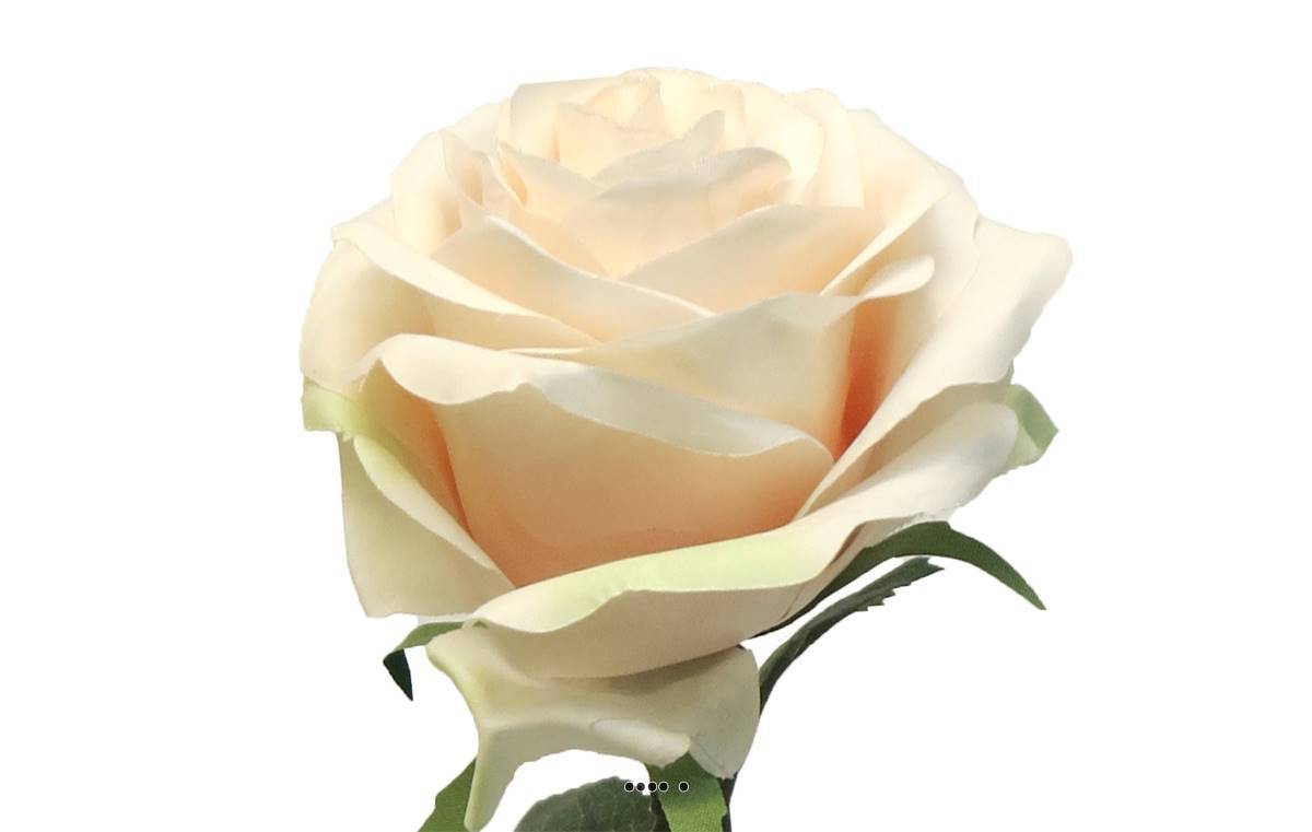 Artificielles - Rose factice Paris H64cm tête D9cm 12 feuilles tissu Crème vert - BEST - couleur: Crème vert - Imagen 3