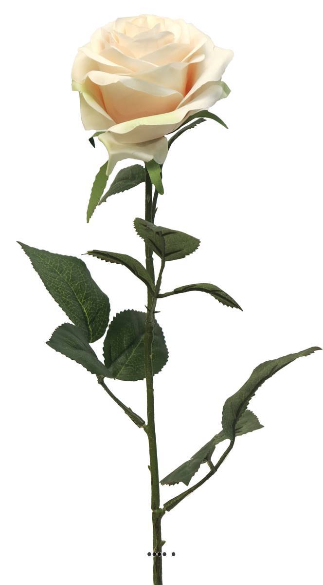 Artificielles - Rose factice Paris H64cm tête D9cm 12 feuilles tissu Crème vert - BEST - couleur: Crème vert - Imagen 2