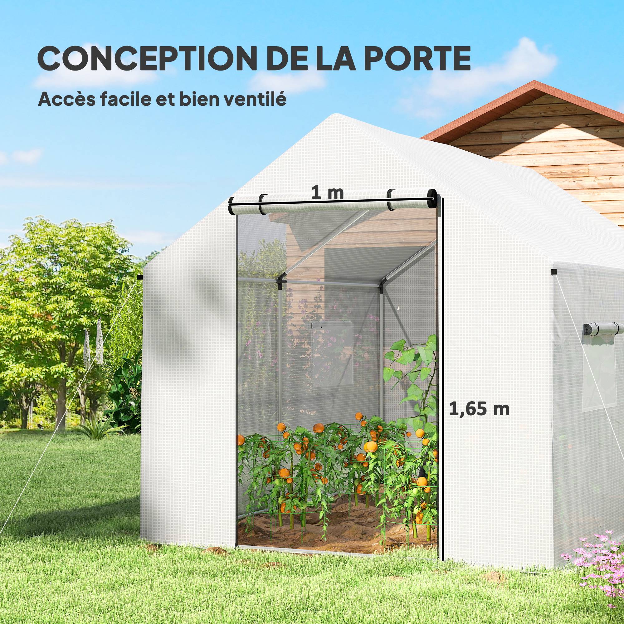 Outsunny - Serre de jardin tunnel 2x3m 6m² avec porte enroulable 4 fenêtres Acier galvanisé PE HD Blanc - Outsunny - Image 7