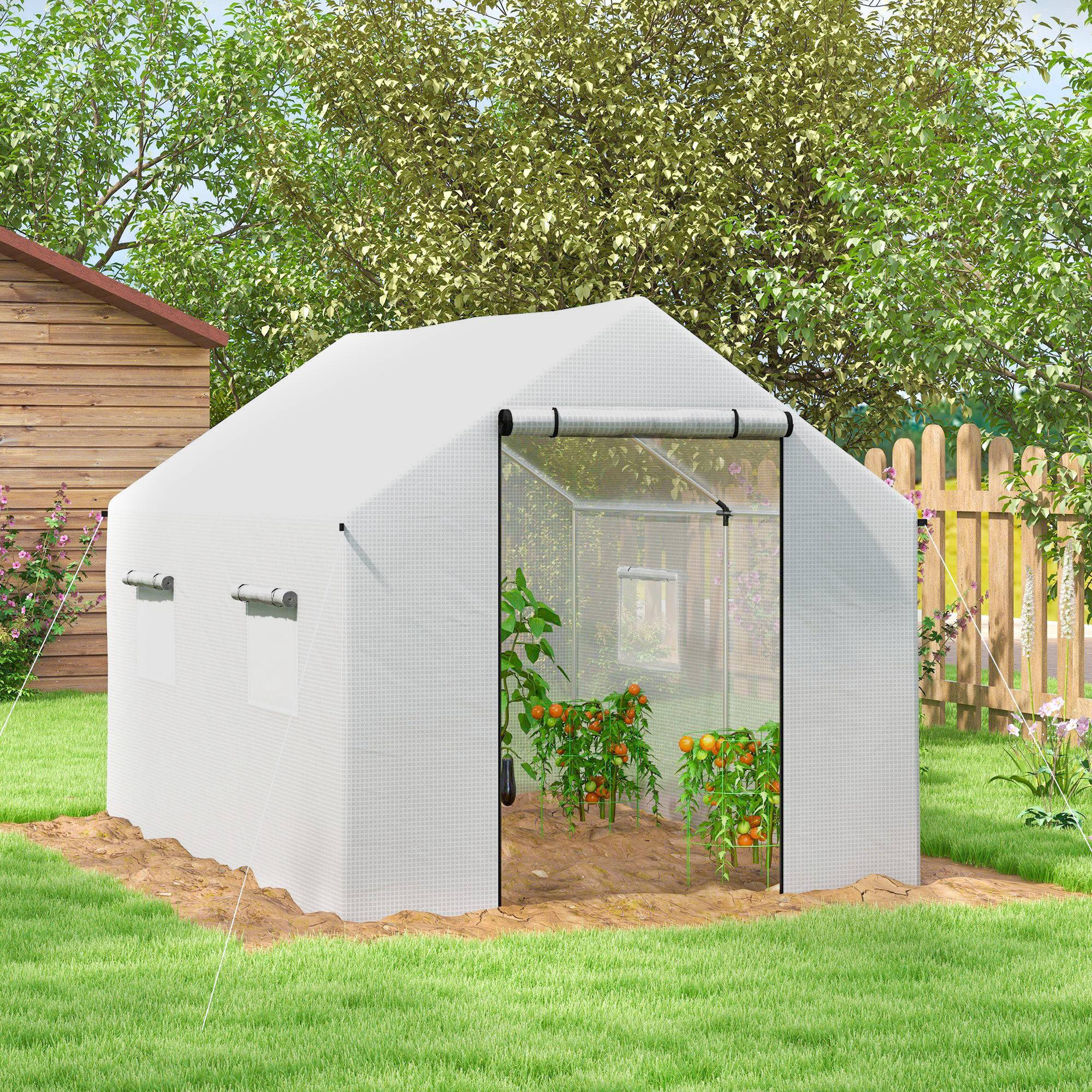 Outsunny - Serre de jardin tunnel 2x3m 6m² avec porte enroulable 4 fenêtres Acier galvanisé PE HD Blanc - Outsunny - Image 9