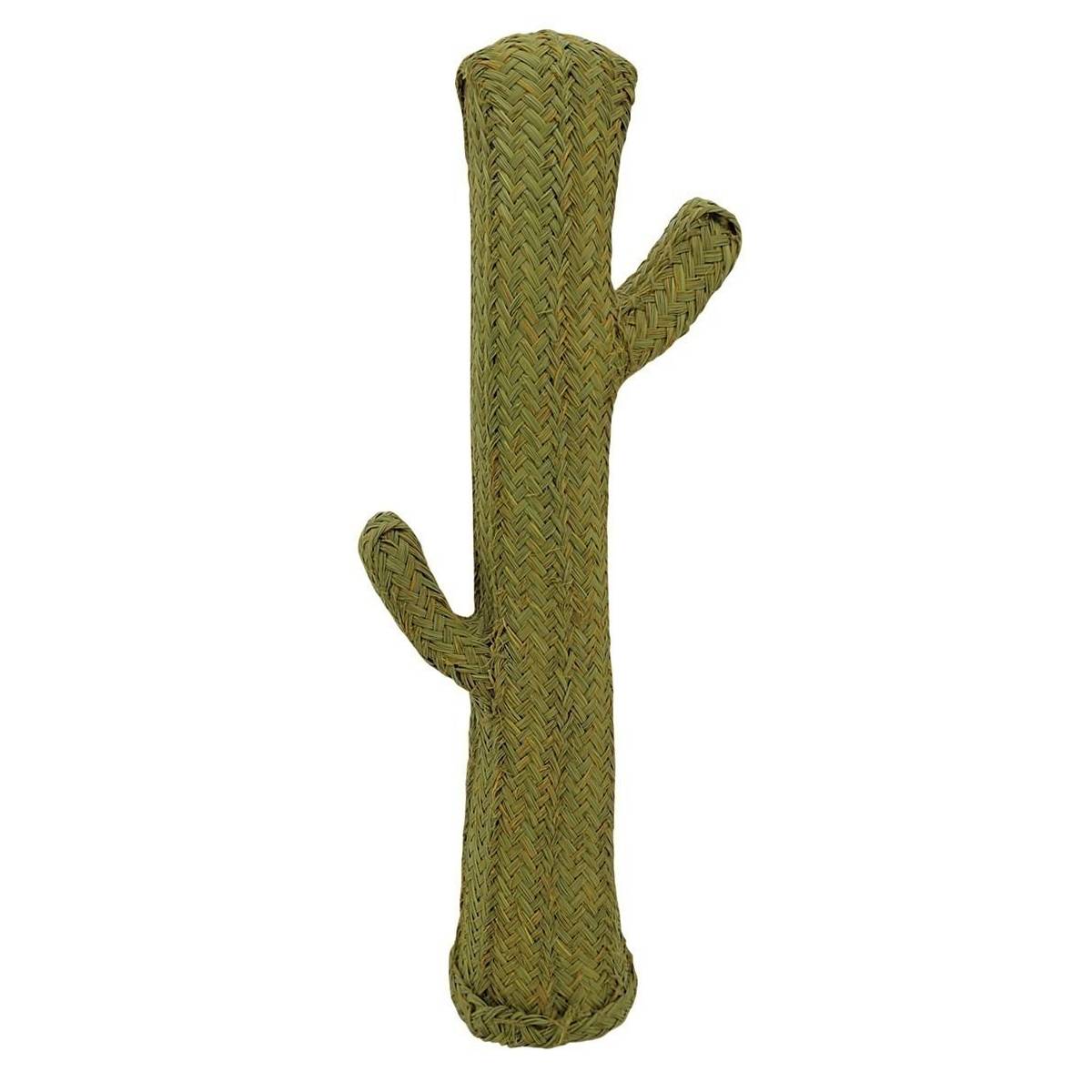 Aubry Gaspard - Cactus en alpha Hauteur 105 cm