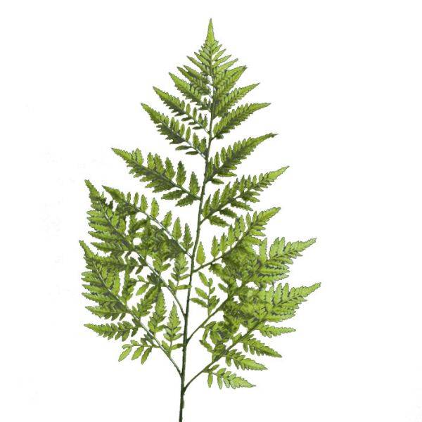 Artificielles - Feuille branche de Fougère artificielle des forêts H 78 cm superbe