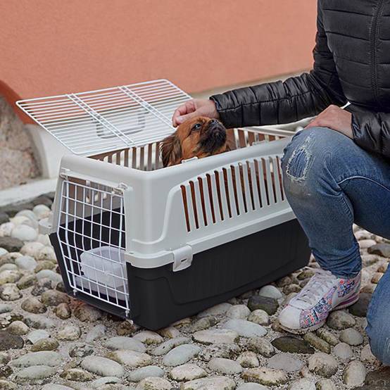 Ferplast - Ferplast Caisse de Transport Chat, Cage de Transport pour Chiens Petits Moyens et Chats jusqu'à 15 Kg, Toit Ouvrable, avec Coussin et Gamelle, Fentes - Image 3
