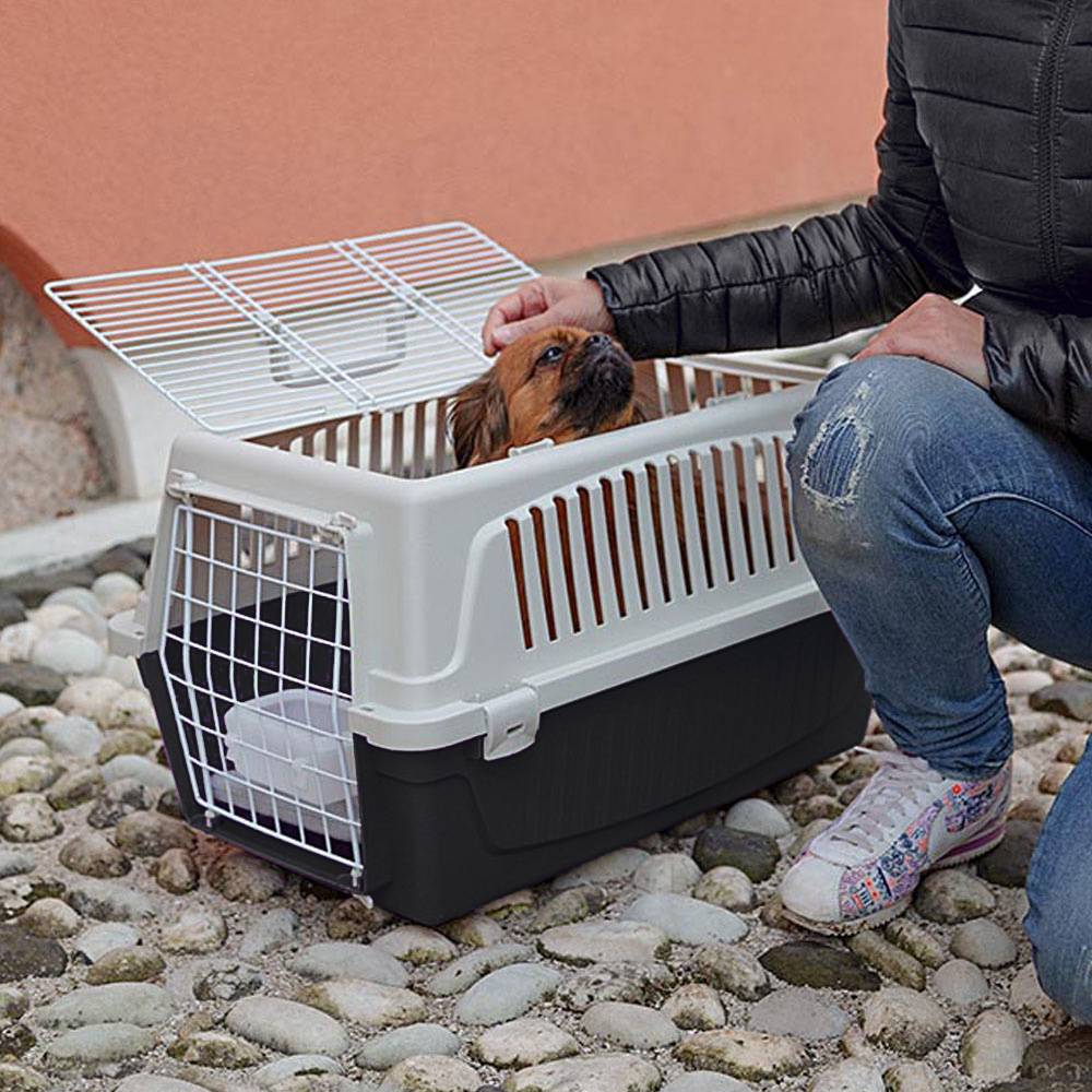 Ferplast - Ferplast Caisse de Transport Chat, Cage de Transport pour Chiens Petits Moyens et Chats jusqu'à 15 Kg, Toit Ouvrable, avec Coussin et Gamelle, Fentes - Image 3