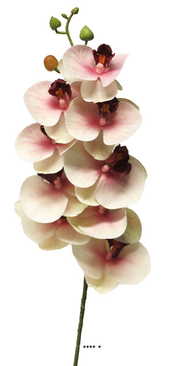 Artificielles - Tige orchidée phalaenopsis Factice 9 fleurons H77cm Pourpre-blanc-BEST - couleur: Pourpre-blanc - Imagen 2