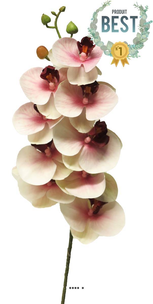 Artificielles - Tige orchidée phalaenopsis Factice 9 fleurons H77cm Pourpre-blanc-BEST - couleur: Pourpre-blanc - Imagen 1