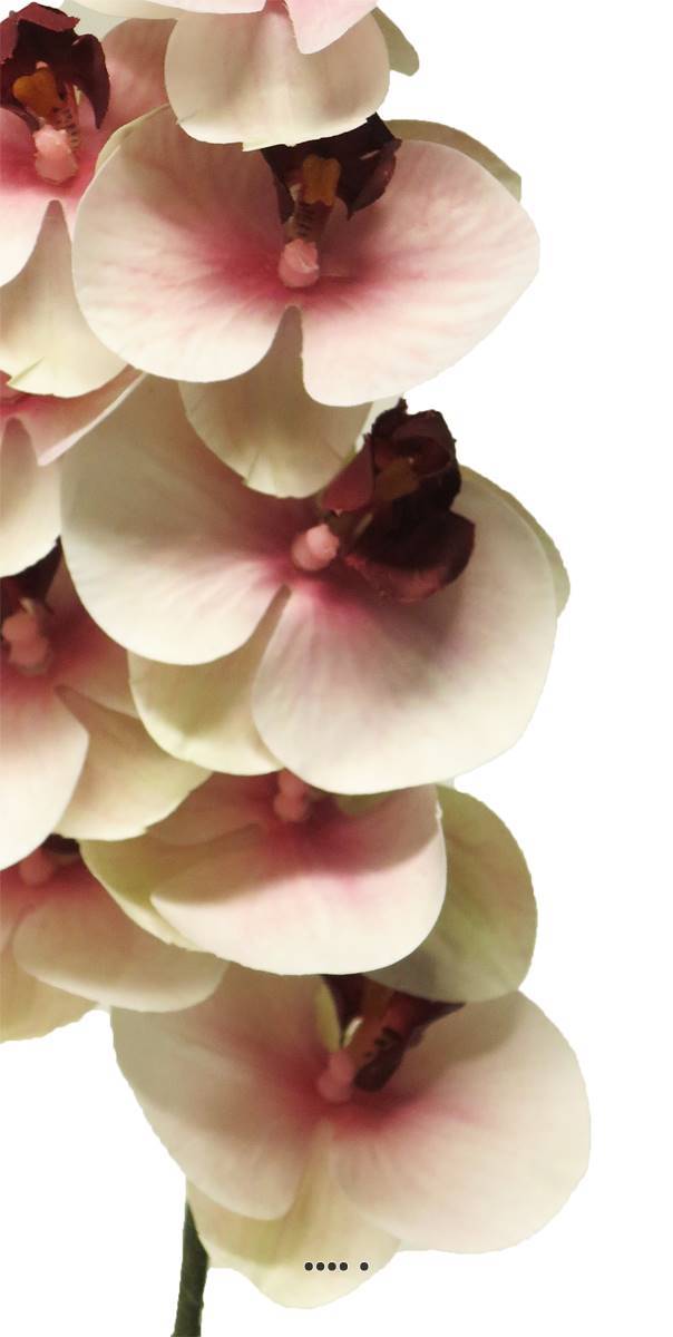 Artificielles - Tige orchidée phalaenopsis Factice 9 fleurons H77cm Pourpre-blanc-BEST - couleur: Pourpre-blanc - Imagen 3