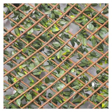 James Grass - France Green - Treillis extensible feuilles de jasmin fleuri, Long 10 m, Hauteur 1 m - Imagen 3