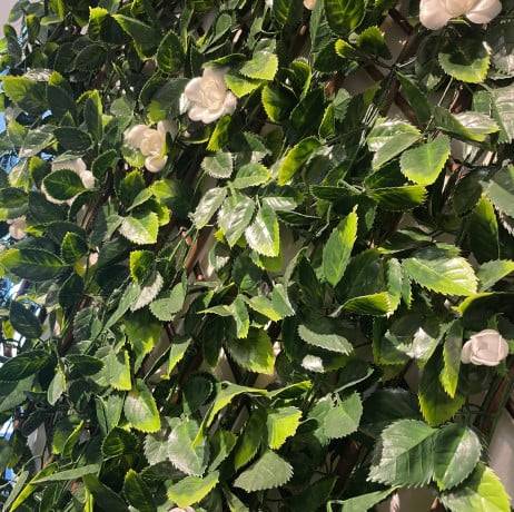 James Grass - France Green - Treillis extensible feuilles de jasmin fleuri, Long 10 m, Hauteur 1 m - Imagen 2
