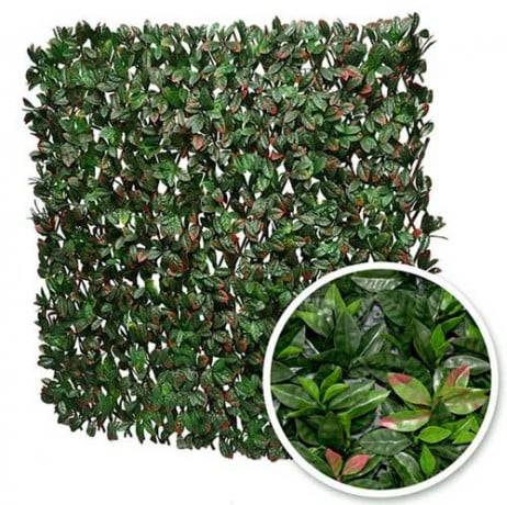 James Grass - France Green - Treillis extensible feuillage photinia, Long 22 m, Hauteur 1 m - Imagen 1