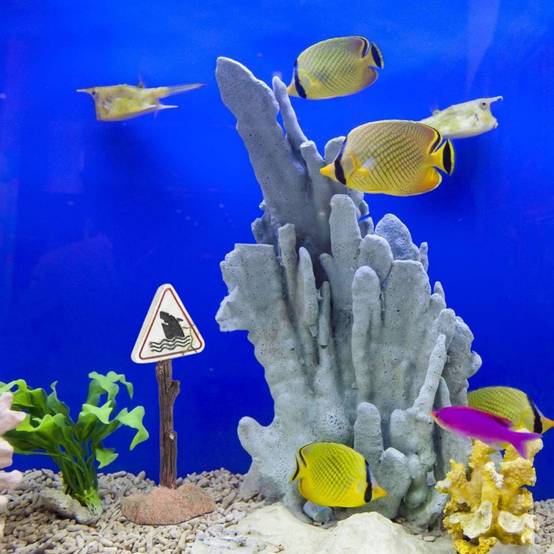 Décorations Mini en Résine pour Aquarium - Image 4