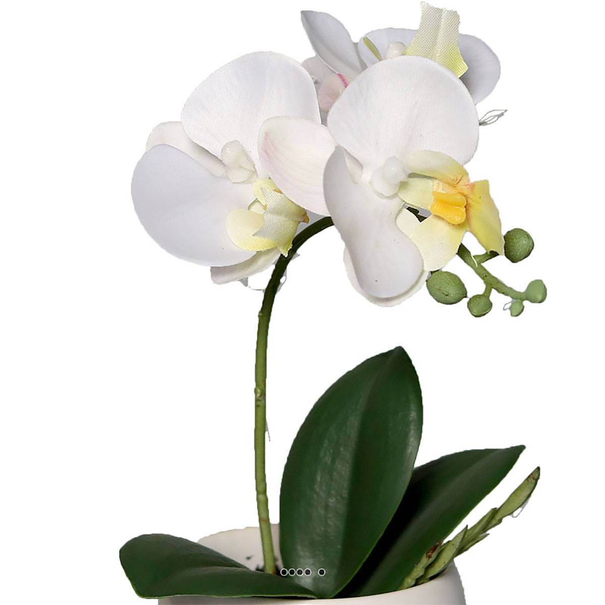 Artificielles - Adorable fausse orchidée coupe céramique H 16 cm Crème - couleur: Crème - Imagen 3