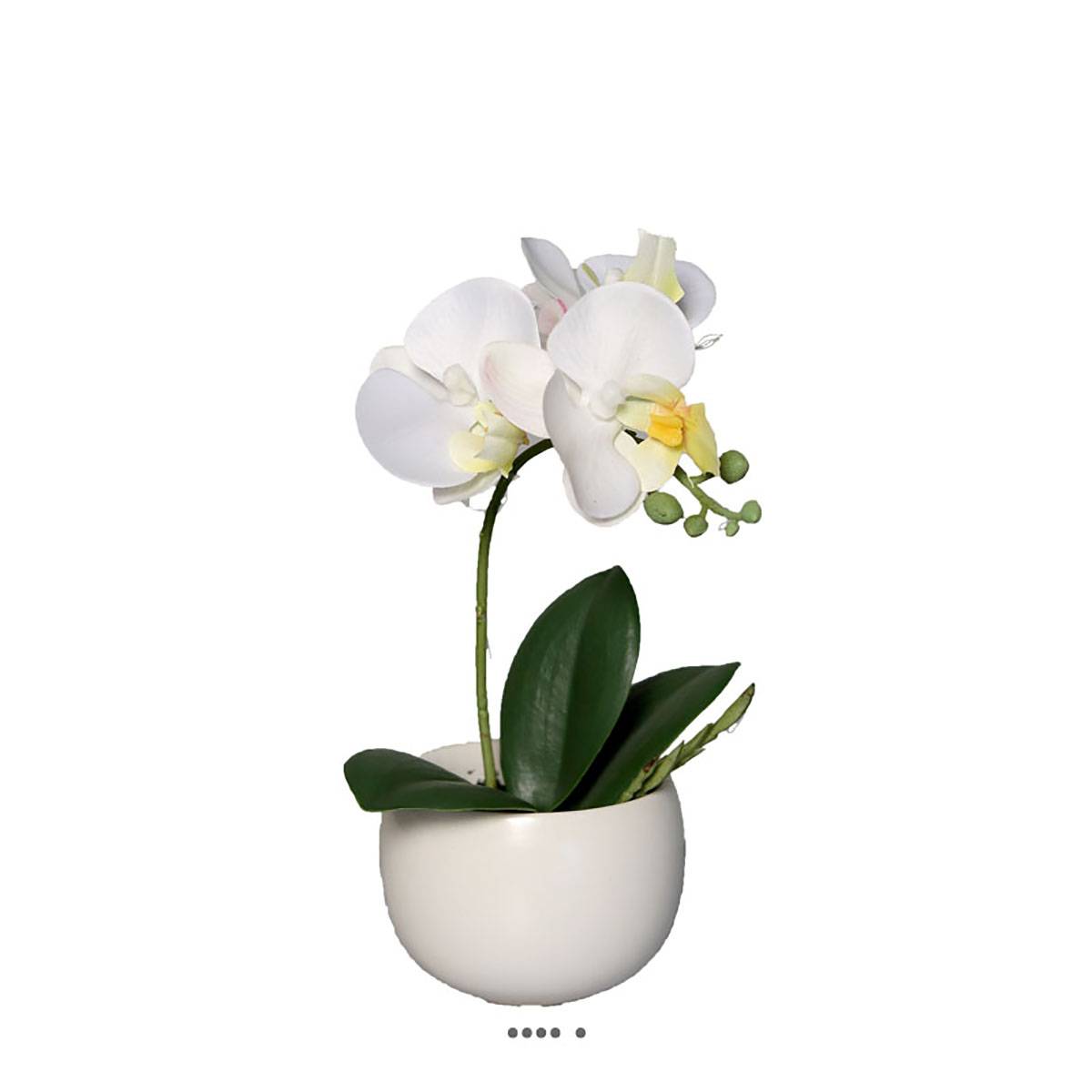 Artificielles - Adorable fausse orchidée coupe céramique H 16 cm Crème - couleur: Crème - Imagen 1