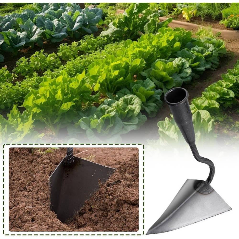 Houe-Binette Triangle Acier Inoxydable Jardinage Désherbage Ameublir Sol - Living123 - Image 2