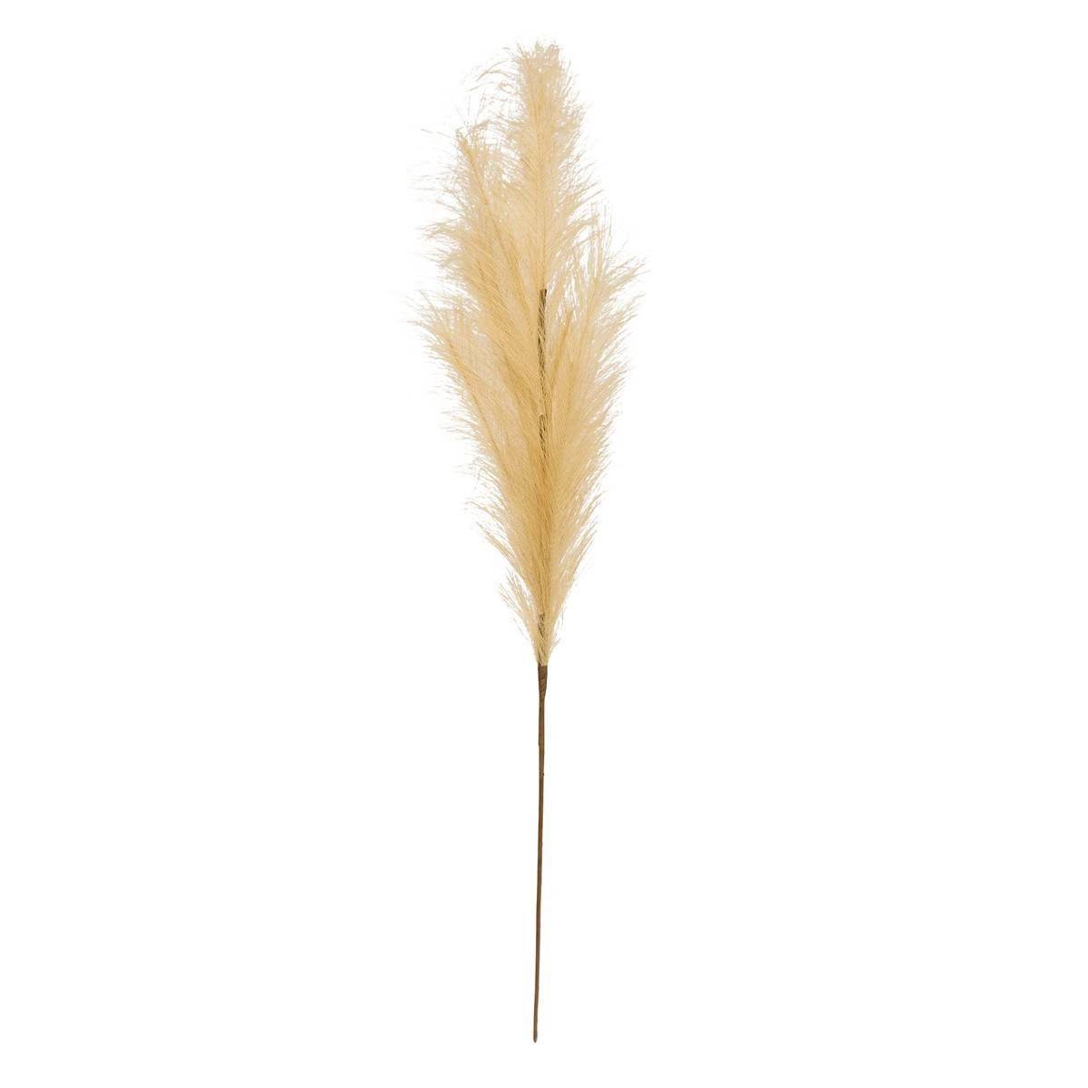 Pampa Artificielle "Adna" 90cm Beige - Image 1