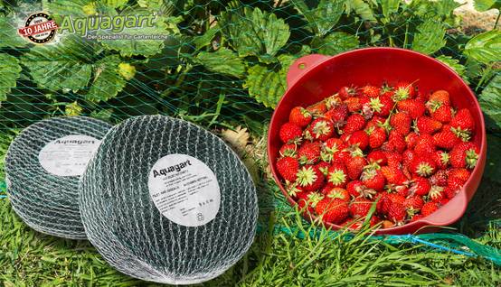Aquagart - Filet de protection contre les oiseaux, 8 m x 8 m, filet pour arbres fruitiers, filet pour légumes - Image 5