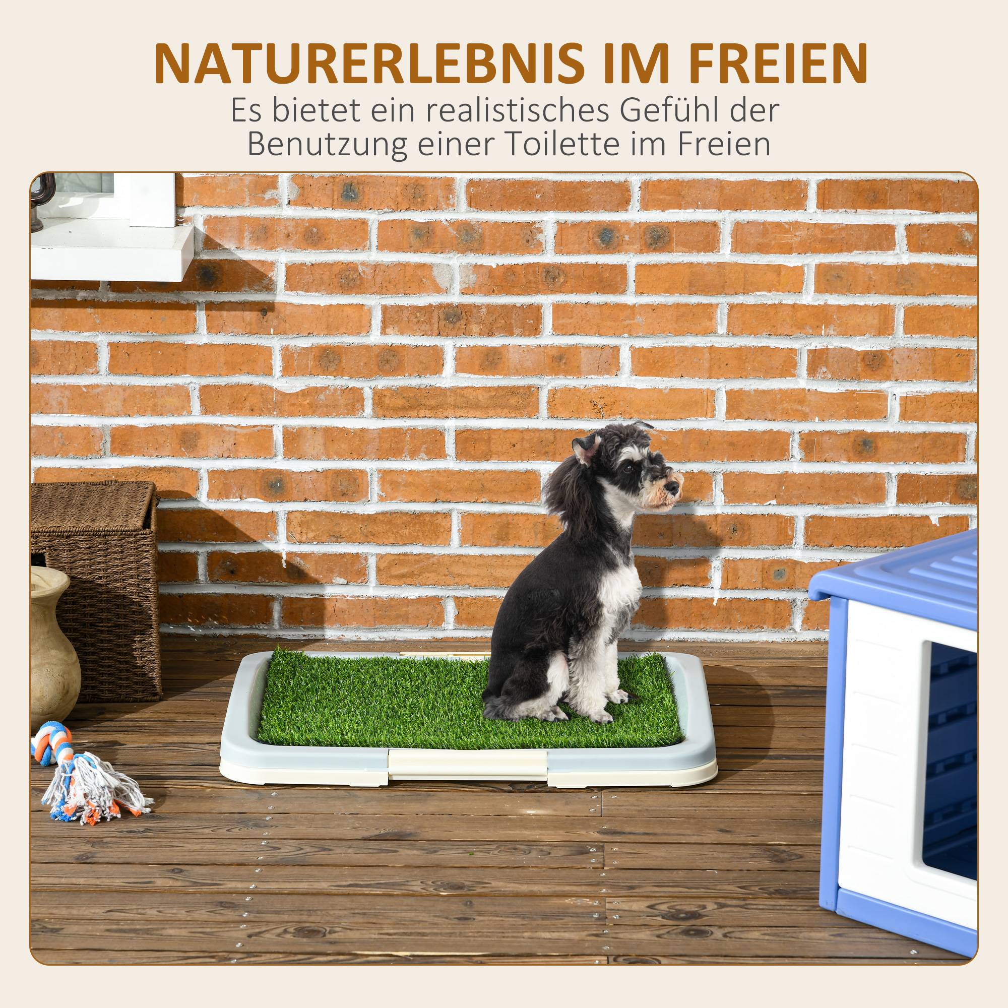 ComfortXL - Toilette pour chien plastique PE 63 x 48,5 x 6 cm vert blanc avec gazon artificiel réutilisable 3 niveaux - Image 4