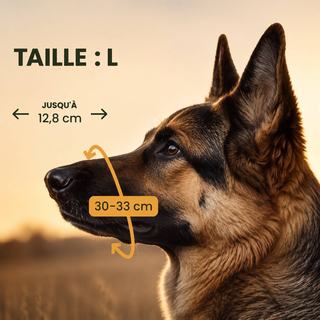 Musaillon Chien Métal Panier Réglable Cuir Léger Confortable Anti Morsure Aboiement - Image 2