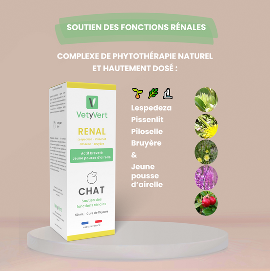 Complément alimentaire vétérinaire - Rénal chat 50 mL - VetyVert - Image 3