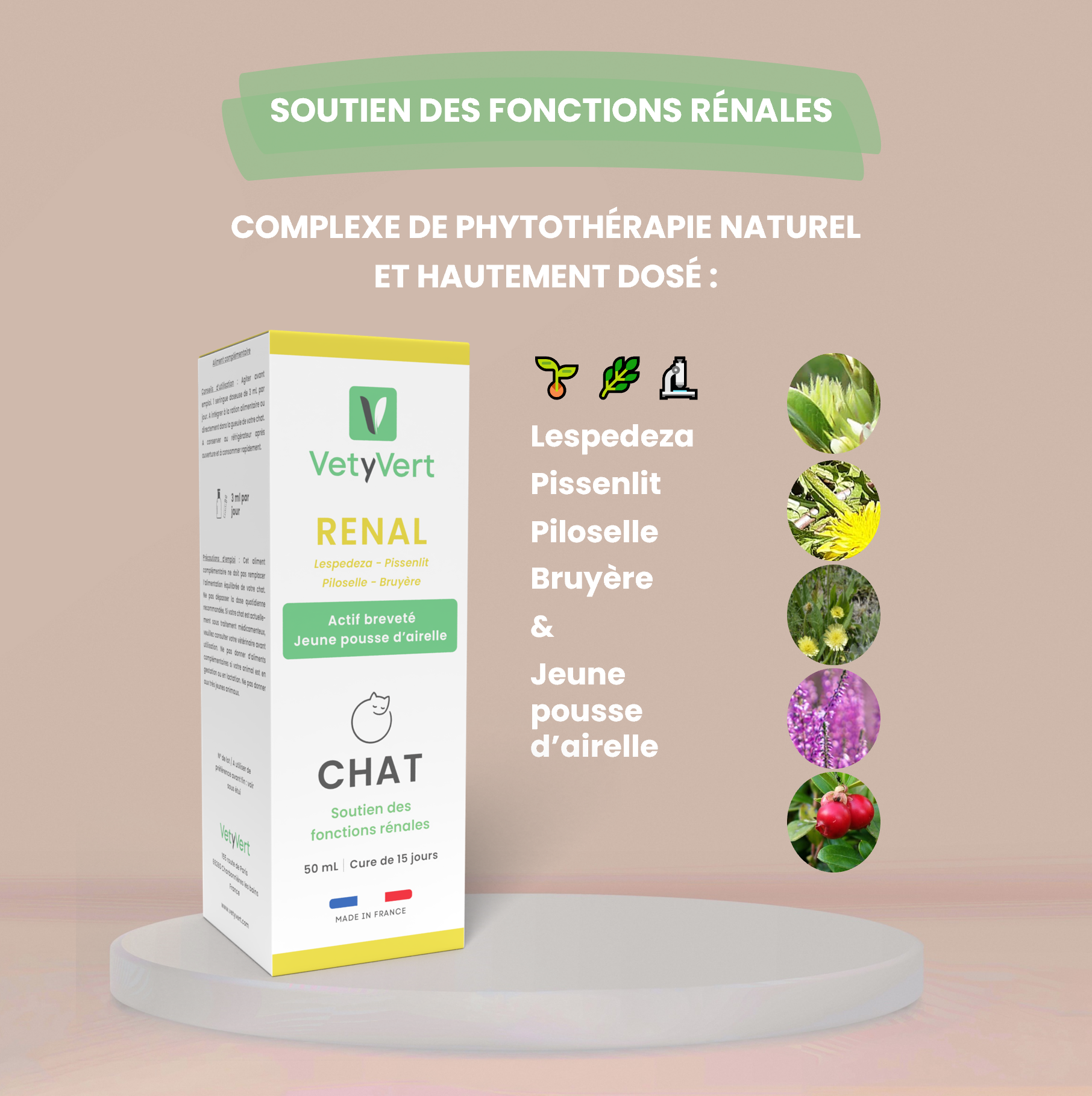 Complément alimentaire vétérinaire - Rénal chat 50 mL - VetyVert - Image 3