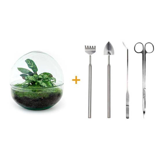 Kit Terrarium Diy - D20 H20cm - Image 1
