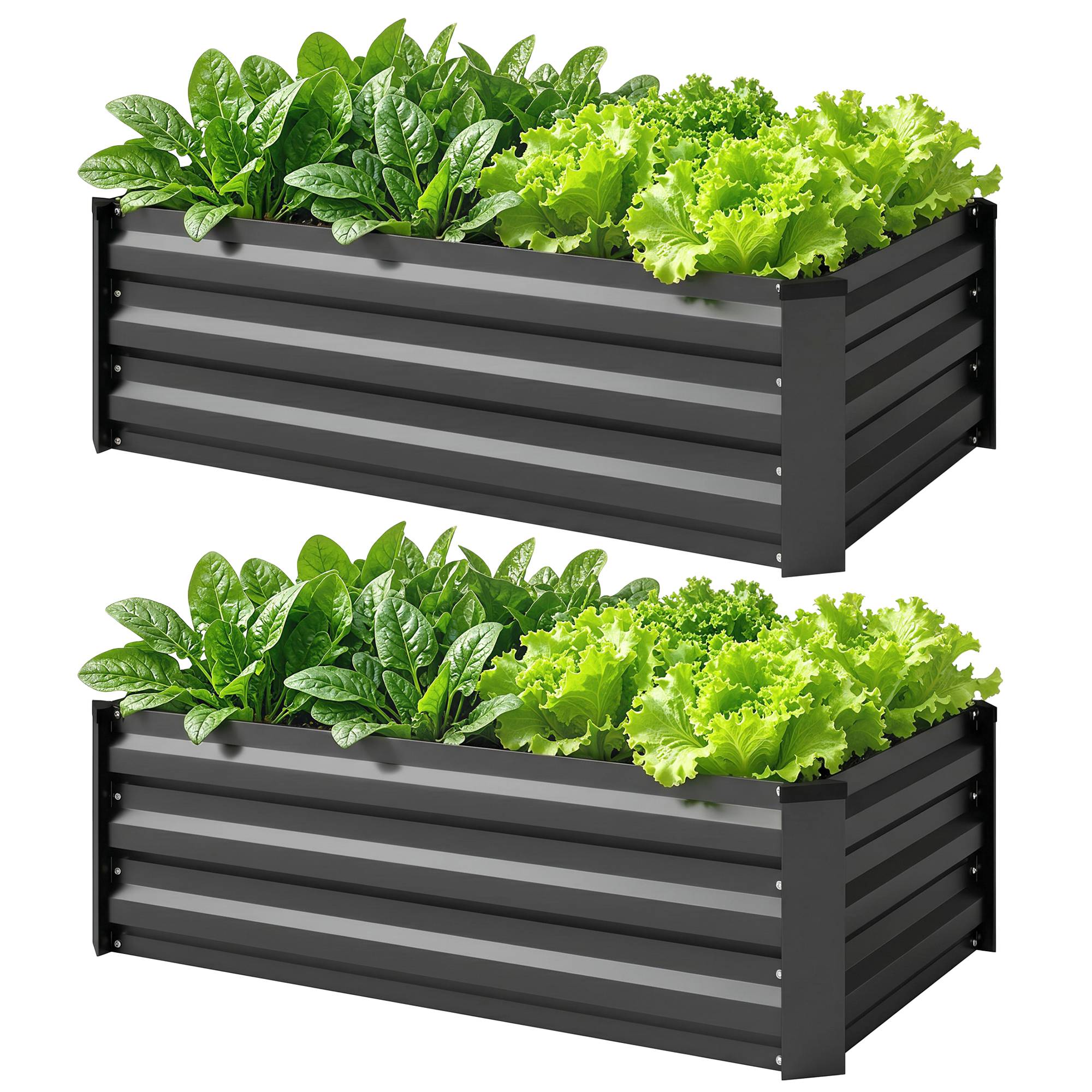 PANGIVO - Carré potager acier galvanisé gris foncé 100 x 60 x 30 cm - PANGIVO - Image 2