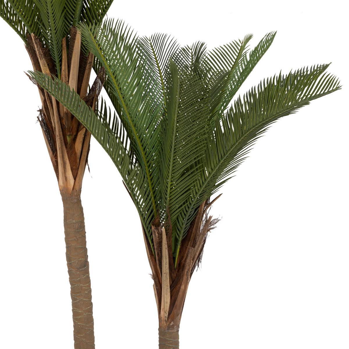 Plante artificielle Palmier 2 troncs H 180 cm - Image 2
