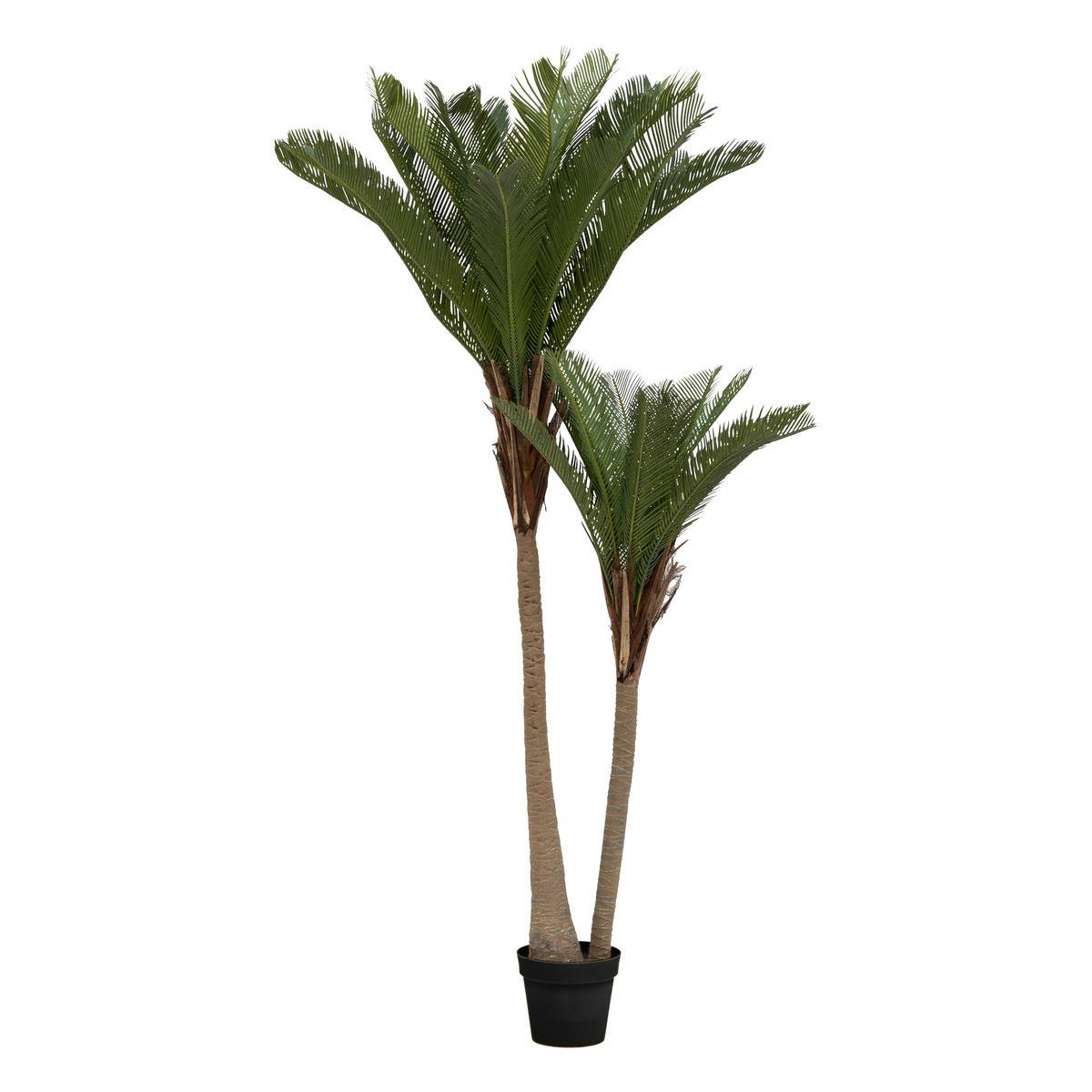 Plante artificielle Palmier 2 troncs H 180 cm - Image 1