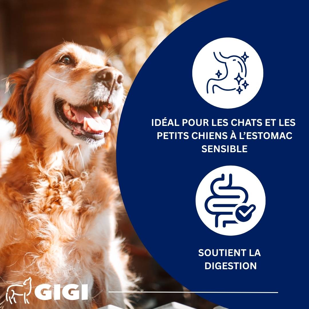 Confort Estomac & Intestin – aide efficacement en cas d’intolérances alimentaires 60 comprimés GIGI VET - Image 3
