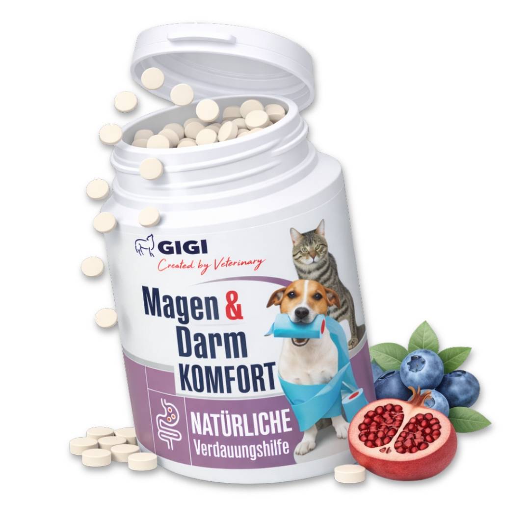 Confort Estomac & Intestin – aide efficacement en cas d’intolérances alimentaires 60 comprimés GIGI VET - Image 1