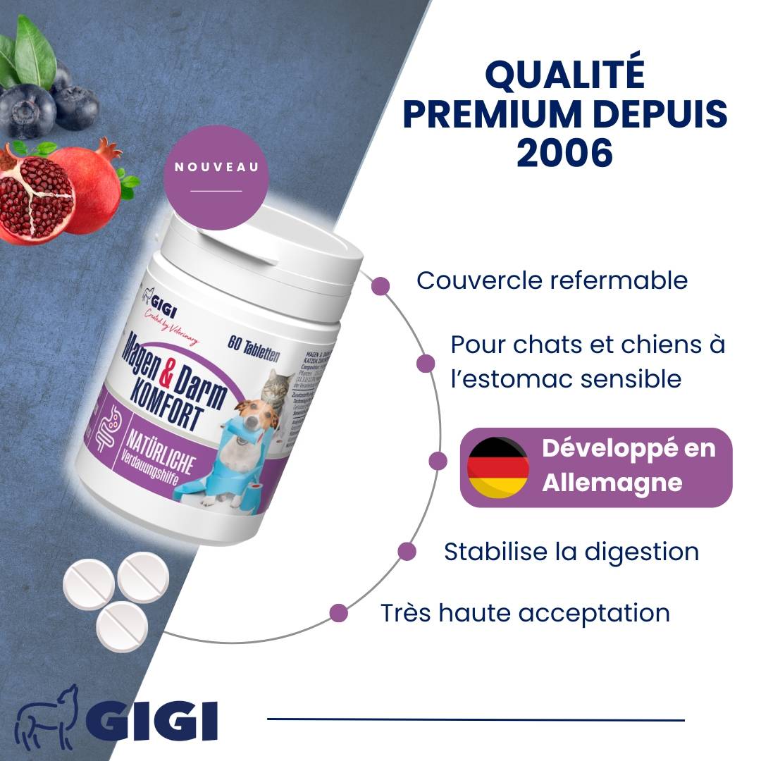 Confort Estomac & Intestin – aide efficacement en cas d’intolérances alimentaires 60 comprimés GIGI VET - Image 2