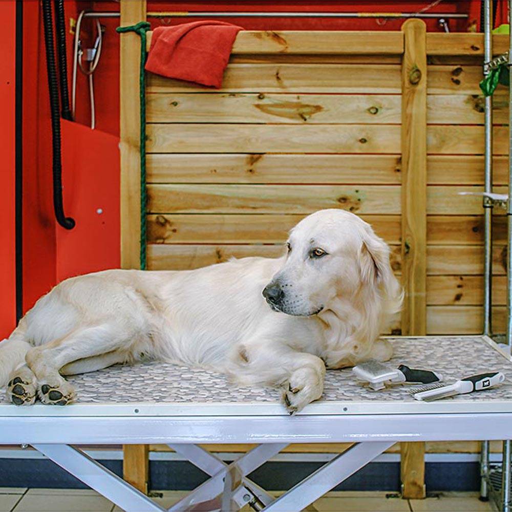 Ferplast - Double Peigne en Acier Chromé GRO 5755 PREMIUM, Ergonomique pour Chiens à Poils Moyens et Longs - Image 2